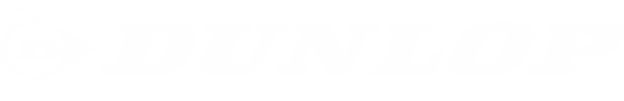 Ir a la página inicial